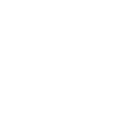 Local SEO