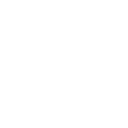 Website Audit